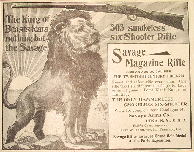 1900 advertisement for the Savage 303.